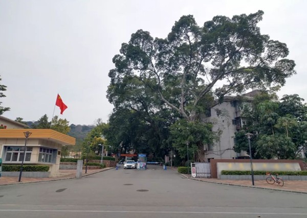 【MAX】&廣州市醫院