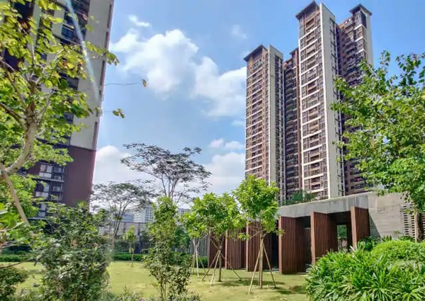 【MAX】&廣州市地產企業