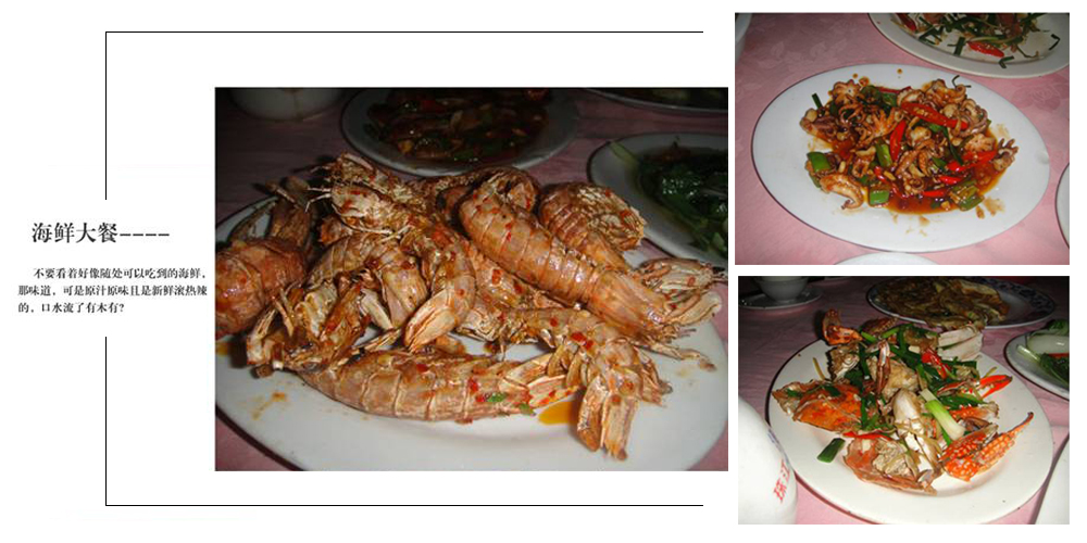 2014年麥斯紅海灣夏日風情之旅 2014年麥斯紅海灣夏日風情之旅