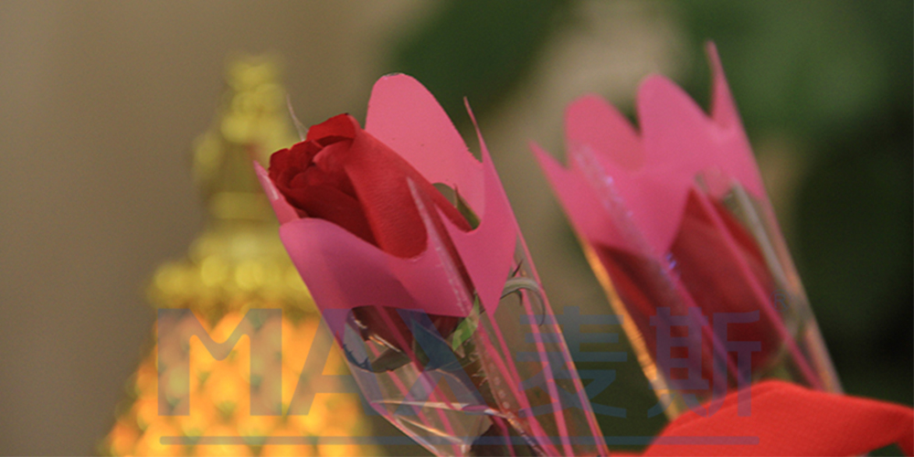 嗨翻了!麥斯環(huán)保三八女神節(jié)慶祝活動現(xiàn)場直播 嗨翻了!麥斯環(huán)保三八女神節(jié)慶祝活動現(xiàn)場直播